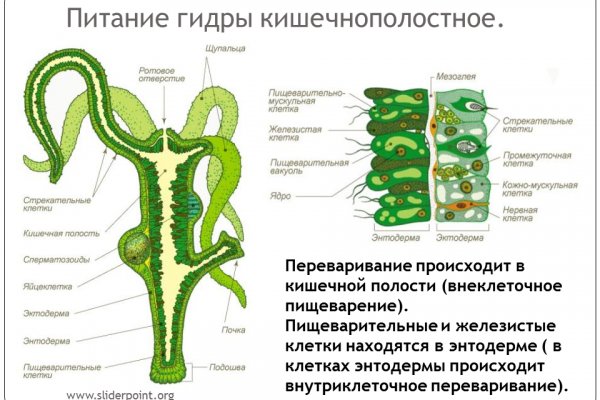 Как зайти на кракен kr2web in